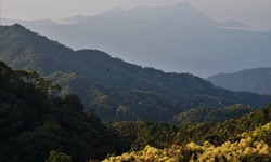 Kh&#225;m ph&#225; Vườn di sản ASEAN, &#39;m&#225;i nh&#224; chung&#39; của nhiều lo&#224;i động vật qu&#253; hiếm ở Huế