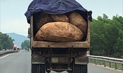 Truy tìm xe tải làm rơi đá khiến 2 người thương vong ở Lâm Đồng