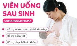 Chiết xuất từ 13 thảo dược v&#224; vitamin tốt cho mẹ sau sinh