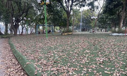 Cận cảnh b&#234;n trong c&#244;ng vi&#234;n lớn nhất Thủ đ&#244; đang được cải tạo