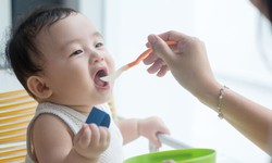 N&#234;n cho trẻ ăn dặm thời điểm n&#224;o?
