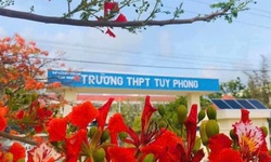 Y&#234;u cầu tạm đ&#236;nh chỉ c&#244;ng t&#225;c thầy gi&#225;o bị tố l&#224;m nữ sinh mang thai