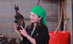 Kha Hạnh – C&#244; g&#225;i T&#226;y Bắc đưa thảo dược qu&#234; hương v&#224;o cuộc sống hiện đại