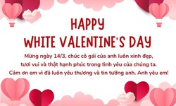 Những lời ch&#250;c ng&#224;y Valentine 14/3 - Valentine trắng tặng người y&#234;u