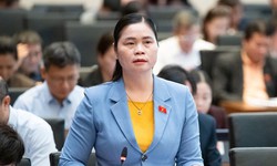 ĐBQH: Cần quy tr&#225;ch nhiệm thu hồi, xử l&#253; h&#243;a chất bị cấm sau khi lưu th&#244;ng tr&#234;n thị trường