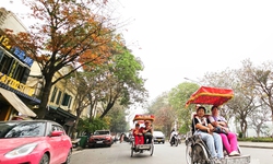 H&#224; Nội n&#234;n thơ m&#249;a c&#226;y thay l&#225;