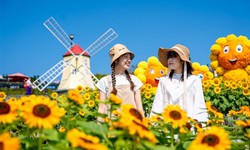 Sun World Ba Na Hills ngợp ngời sắc v&#224;ng trong lễ hội Hoa Mặt trời