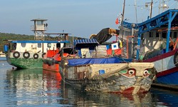 Chặn đứng t&#224;u gỗ kh&#244;ng số chở hơn 10 tấn đường c&#225;t kh&#244;ng giấy tờ 