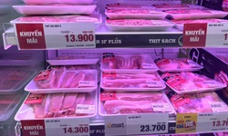 TP Hồ Ch&#237; Minh: Gi&#225; thịt lợn&#160;b&#236;nh ổn thị trường được&#160;điều chỉnh tăng từ ng&#224;y 1/4