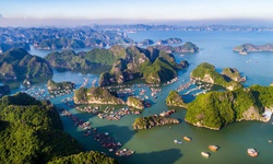 C&#225;t B&#224; lọt top t&#236;m kiếm nhiều nhất đầu năm 2025