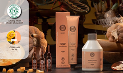 Chăm sóc da đầu an toàn với sản phẩm thuần chay – Hành trình phục hồi mái tóc từ gốc