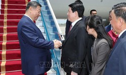 Tổng B&#237; thư, Chủ tịch nước Trung Quốc Tập Cận B&#236;nh đến H&#224; Nội, bắt đầu chuyến thăm cấp Nh&#224; nước tới Việt Nam