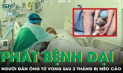 Người đ&#224;n &#244;ng tử vong nghi do bệnh dại sau 2 th&#225;ng bị m&#232;o hoang c&#224;o v&#224;o bắp ch&#226;n 