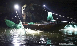 M&#249;a săn ‘lộc trời’ tr&#234;n s&#244;ng Hồng