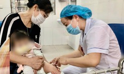 Nguy cơ dịch kép, Hà Nội phát công văn khẩn