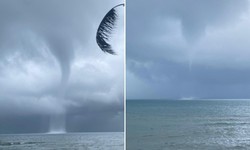 V&#242;i rồng khủng cao h&#224;ng trăm m&#233;t xuất hiện ở Ph&#250; Quốc