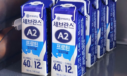 Kiddo Care địa chỉ uy t&#237;n chuy&#234;n b&#225;n thức uống Protein A2 xanh Yonsei