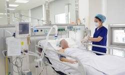 Cập nhật chẩn đo&#225;n, điều trị c&#225;c bệnh l&#253; mạch m&#225;u n&#227;o v&#224; đột quỵ