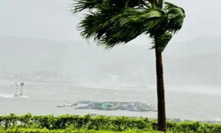 Chuy&#234;n gia cảnh b&#225;o kh&#244;ng chia sẻ, ph&#225;t t&#225;n tin giả về b&#227;o ở Quảng Ninh đầu th&#225;ng 5