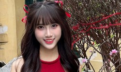 Lan Chinh: từ nữ sinh kinh tế đến gương mặt livestream triệu view g&#226;y sốt TikTok