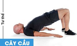 B&#224;i tập cải thiện t&#236;nh trạng xuất tinh ngược d&#242;ng