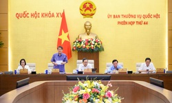 Giảm 2% thuế VAT tới hết 2026 để k&#237;ch cầu ti&#234;u d&#249;ng, ứng ph&#243; với biến động kinh tế thế giới