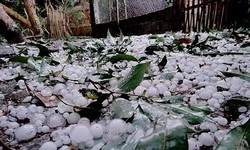 Miền Bắc mưa d&#244;ng do kh&#244;ng kh&#237; lạnh tiếp tục tăng cường