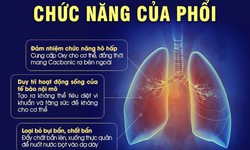 18 lợi &#237;ch của việc đi bộ 30 ph&#250;t mỗi ng&#224;y