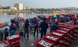 Chợ c&#225; Nghi Thủy &#39;n&#237;u&#39; ch&#226;n du kh&#225;ch