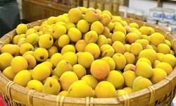 Loại quả vừa thơm vừa bổ v&#224;o m&#249;a b&#225;n đầy chợ với gi&#225; rẻ b&#232;o