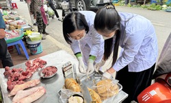 Hải Ph&#242;ng &#39;siết&#39; vấn đề an to&#224;n thực phẩm dịch vụ ăn uống, thức ăn đường phố