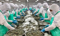 Mỹ &#225;p thuế 46% với Việt Nam, ng&#224;nh n&#244;ng nghiệp sẽ chịu sức &#233;p rất lớn