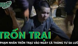 Thanh H&#243;a: Phạm nh&#226;n trốn trại ng&#224;y C&#225; th&#225;ng Tư sa lưới sau 48 giờ