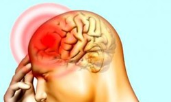 Những dấu hiệu thiếu m&#225;u n&#227;o
