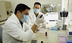 Tin vui về chế độ đối với gi&#225;m định tư ph&#225;p &#225;p dụng từ 20/5
