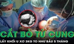 Phẫu thuật thành công khối u xơ tử cung nặng gần 3kg cho người phụ nữ 36 tuổi 
