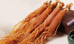 7 b&#224;i thuốc từ nh&#226;n s&#226;m trị huyết &#225;p thấp
