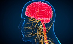 Câu hỏi thường gặp liên quan đến bệnh động kinh
