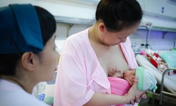 Ng&#224;y Sức khỏe thế giới 2025: WHO Việt Nam k&#234;u gọi h&#224;nh động để bảo đảm mọi b&#224; mẹ v&#224; trẻ sơ sinh đều nhận được sự chăm s&#243;c