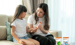 Cặp đ&#244;i lợi khuẩn &#39;đ&#250;ng chỗ - đ&#250;ng vai&#39; gi&#250;p hỗ trợ hệ ti&#234;u h&#243;a khỏe to&#224;n diện