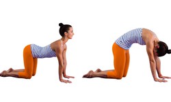 6 động t&#225;c k&#233;o gi&#227;n khắc phục t&#225;c hại của việc ngồi nhiều