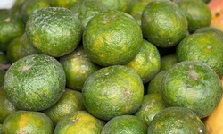 Loại quả gi&#224;u viatamin C đang v&#224;o m&#249;a b&#225;n đầy chợ Việt gi&#225; chỉ 10.000 đồng/kg