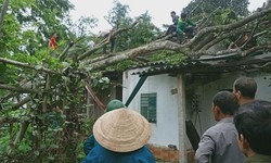 Khắc phục hậu quả lốc xo&#225;y ở huyện miền n&#250;i H&#224; Tĩnh 