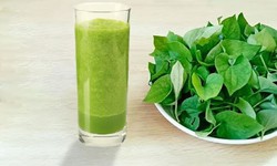 Tăng huyết &#225;p c&#243; uống được nước rau diếp c&#225; kh&#244;ng, cần hạn chế g&#236;?