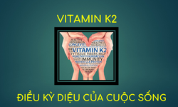 Vitamin K2 -một loại vitamin thiết yếu nhưng dễ bị &#39;l&#227;ng qu&#234;n&#39;