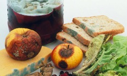 Bạn c&#243; chắc bữa ăn h&#244;m nay kh&#244;ng gieo mầm ung thư?