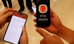 Cục Thuế tạm dừng hệ thống thuế điện tử từ ng&#224;y 23/5 đến 15/6