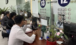 TP Hồ Ch&#237; Minh&#160;r&#224; so&#225;t đội ngũ c&#225;n bộ để bố tr&#237; việc l&#224;m sau sắp xếp đơn vị h&#224;nh ch&#237;nh