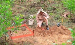 Ph&#225;t hiện hầm đạn với nhiều vật liệu nổ nằm c&#225;ch mặt đất 10 cm