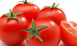 C&#224; chua c&#243; tốt cho người bệnh gout?